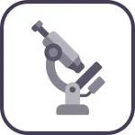 Observer SVG Icon